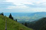 2014-07-05_Laengental-N-Hochweg (816). JPG